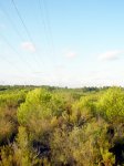 P8110128-1.JPG