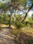 P8110111-1.JPG