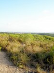 P8110123-1.JPG