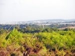 P8110127-1.JPG