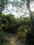 P8110120-1.JPG