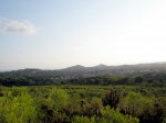 P8110124-1.JPG