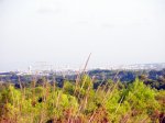 P8110126-1.JPG