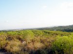 P8110125-1.JPG