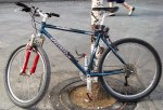 SPECIALIZED Stumpjumper.JPG