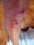 Foto4.JPG