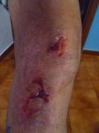 Foto3.JPG