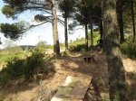 DSCN5572.JPG