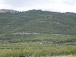 DSCN5750.JPG
