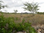 DSCN5769.JPG