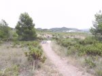 DSCN5760.JPG