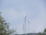 DSCN5795.JPG
