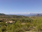 Imagen050.jpg