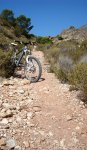 DSC07285r.JPG
