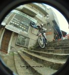 DSC_0570.JPG