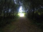 15082011560.jpg