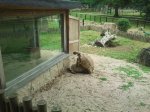 2011-08-14 15.49.40.jpg