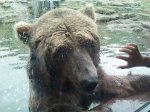 2011-08-14 15.53.37.jpg