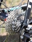aschleck_trek_madone_cassette_600.jpg