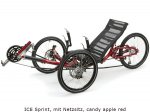 ICE_Sprint_4dcd48bdbb460.jpg