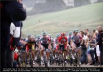 eneco11st07-up.jpg