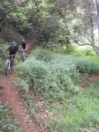 DSCN1395.jpg