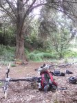 DSCN1398.jpg