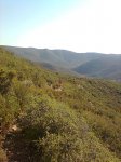Imagen0507.jpg