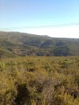 Imagen0504.jpg