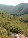 Imagen0508.jpg