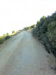 Imagen0500.jpg