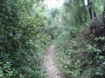 DSC02289.JPG