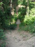 DSC02305.JPG