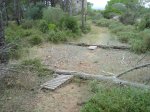 DSC02344.JPG
