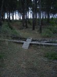DSC02343.JPG
