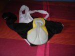 DSC00339.JPG