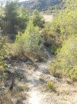 DSCN5762 - copia.JPG
