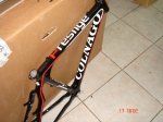 colnago 1.jpg