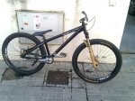 Mibel0284b.JPG