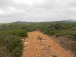 DSCN5851.JPG