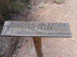 DSCN5884.JPG