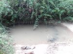 DSCN5881.JPG