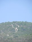 DSCN5897.JPG
