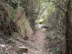 DSCN5900.JPG