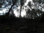 DSCN5905.JPG