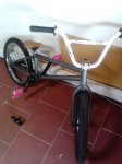IMG_20110809_115006 - copia.jpg
