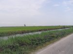 IMGP1791.JPG