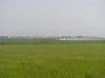 IMGP1793.JPG