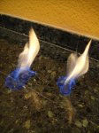 DSC02059.JPG