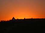 IMG_7843.jpg